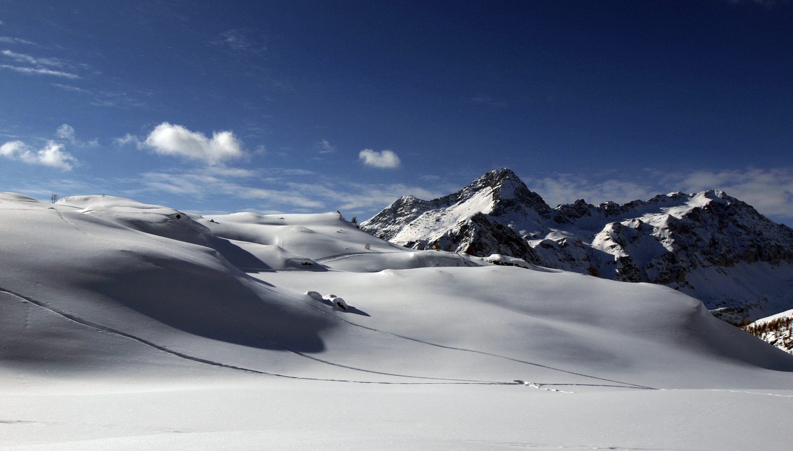 Champoluc